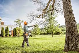 Seasonal Cleanup (Spring/Fall) in Drexel, OH